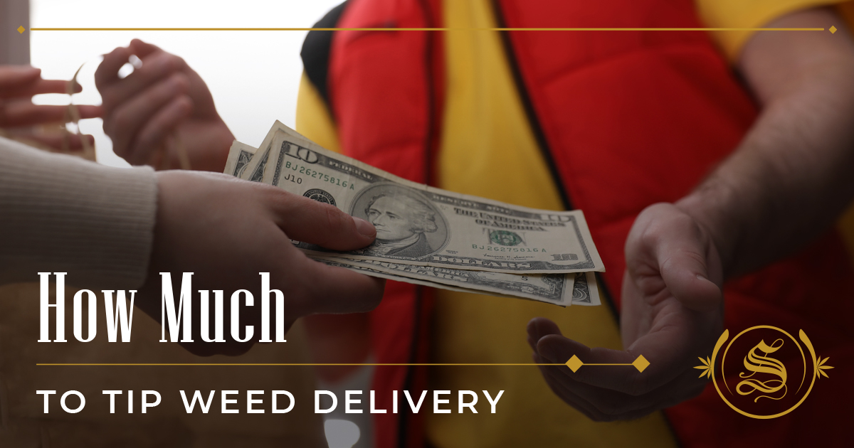 How Much To Tip Weed Delivery The Global Tipping Culture The Sanctuary