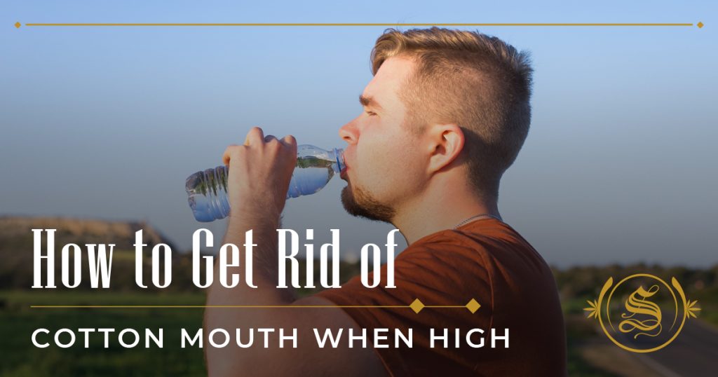 how to get rid of cotton mouth when high