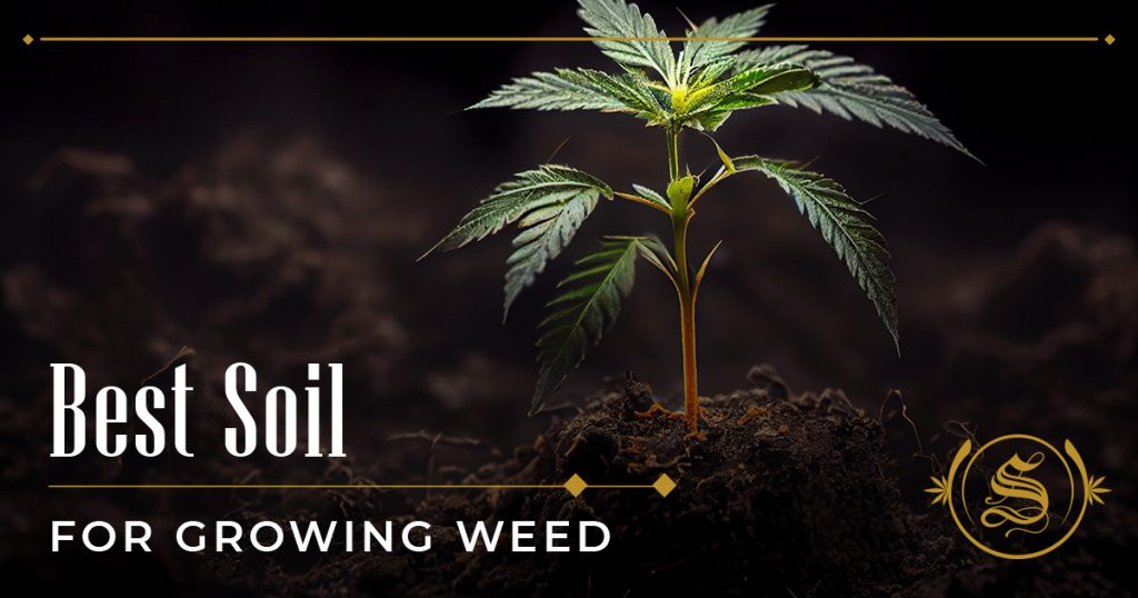 best soil for growing weed