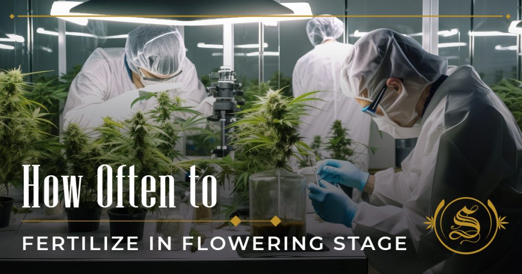 how often to fertilize in flowering stage