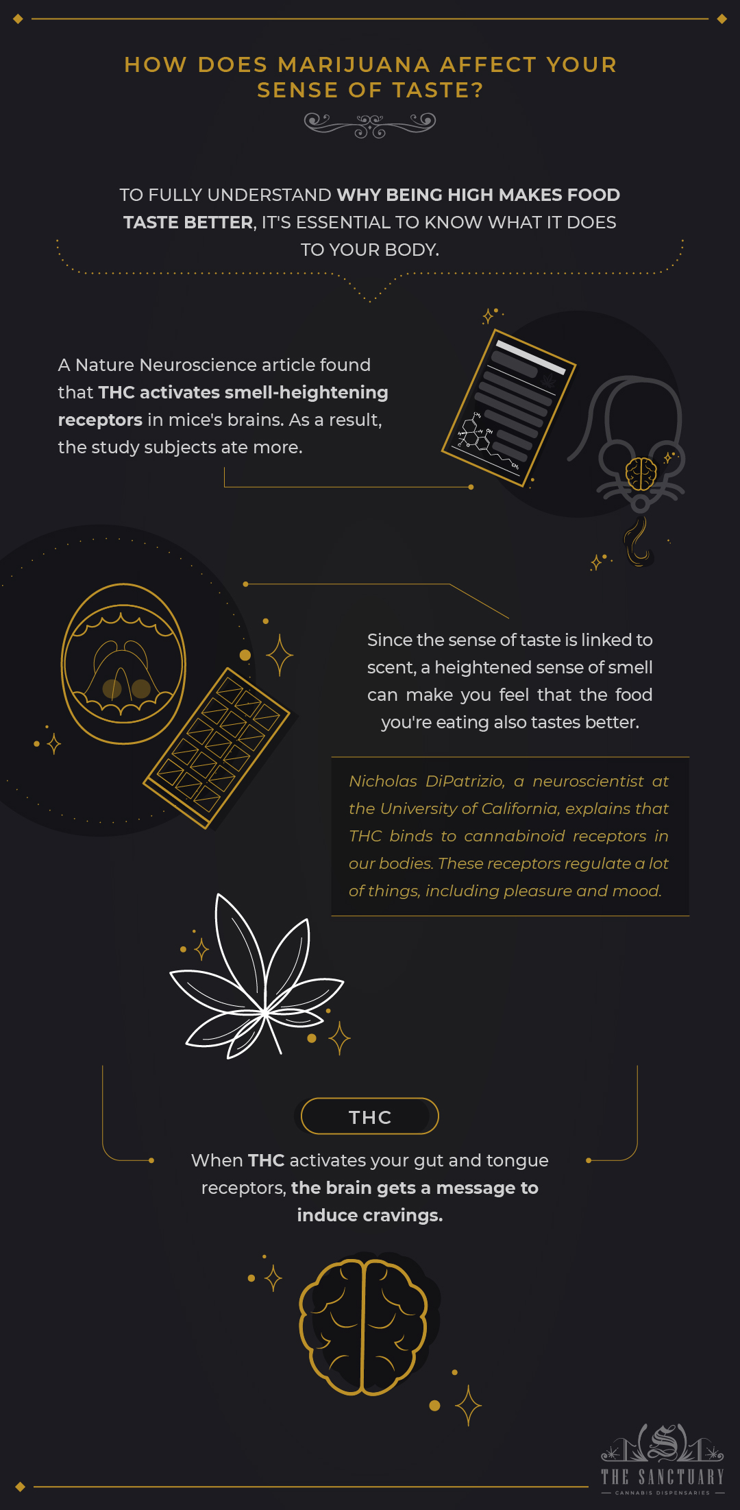 How Does Marijuana Affect Your Sense of Taste