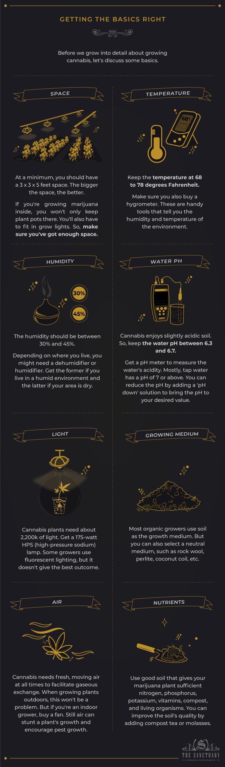 How To Grow A Marijuana Plant: 5 Hacks For A Healthy Growth - The Sanctuary