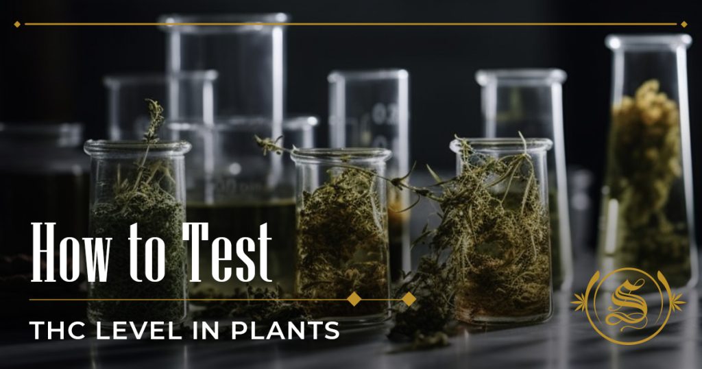how to test thc level in plants