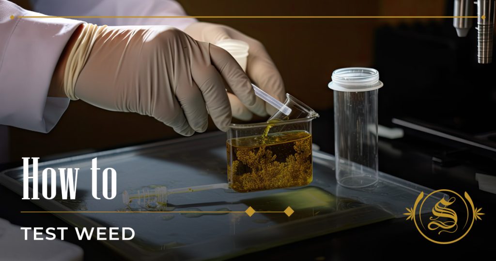 how to test weed