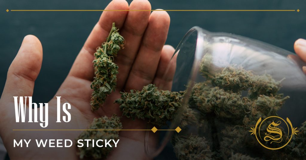 why is my weed sticky