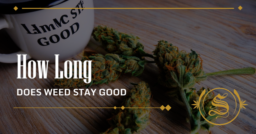 How Long Does Weed Stay Good For How Long Does Weed Stay In Hair Follicle? - The Sanctuary
