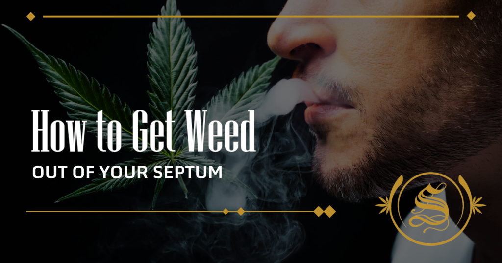 how to get weed out of your septum