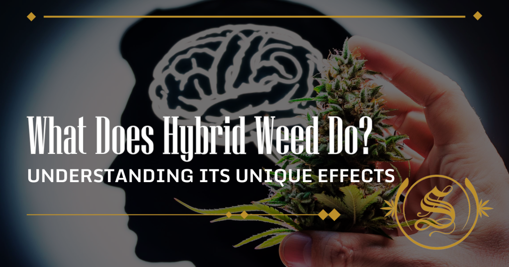 what does hybrid weed do