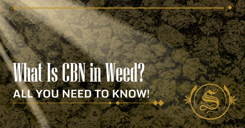 what is cbn in weed