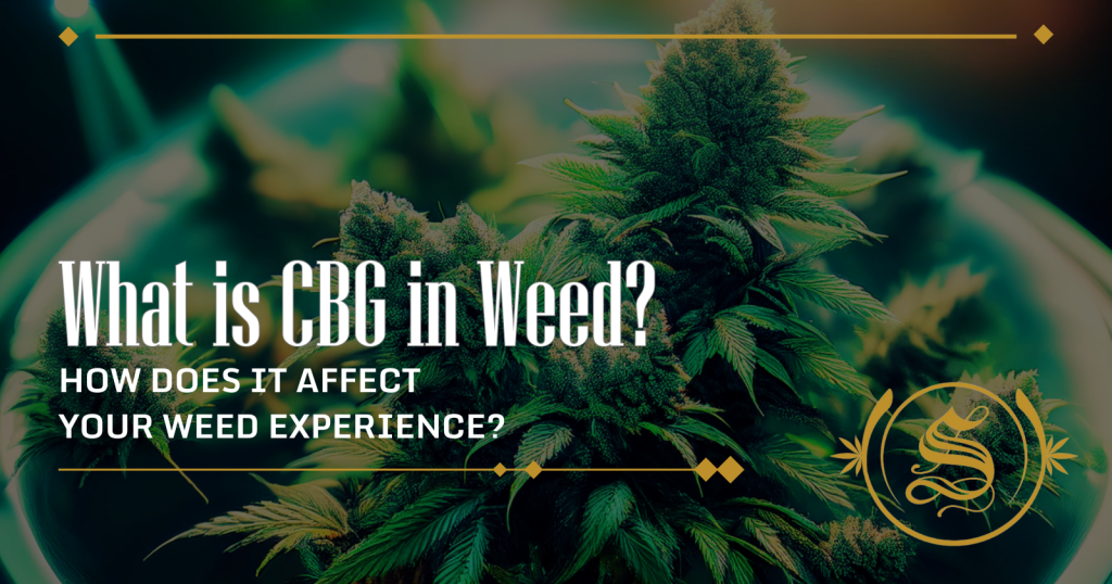 what is cbg in weed